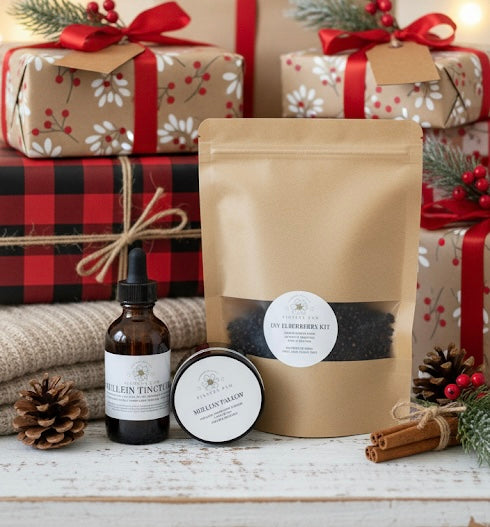 Immunity Combo: Immune System & Respiratory Support- Mullein Tincture + Elderberry Kit + Mullein Tallow