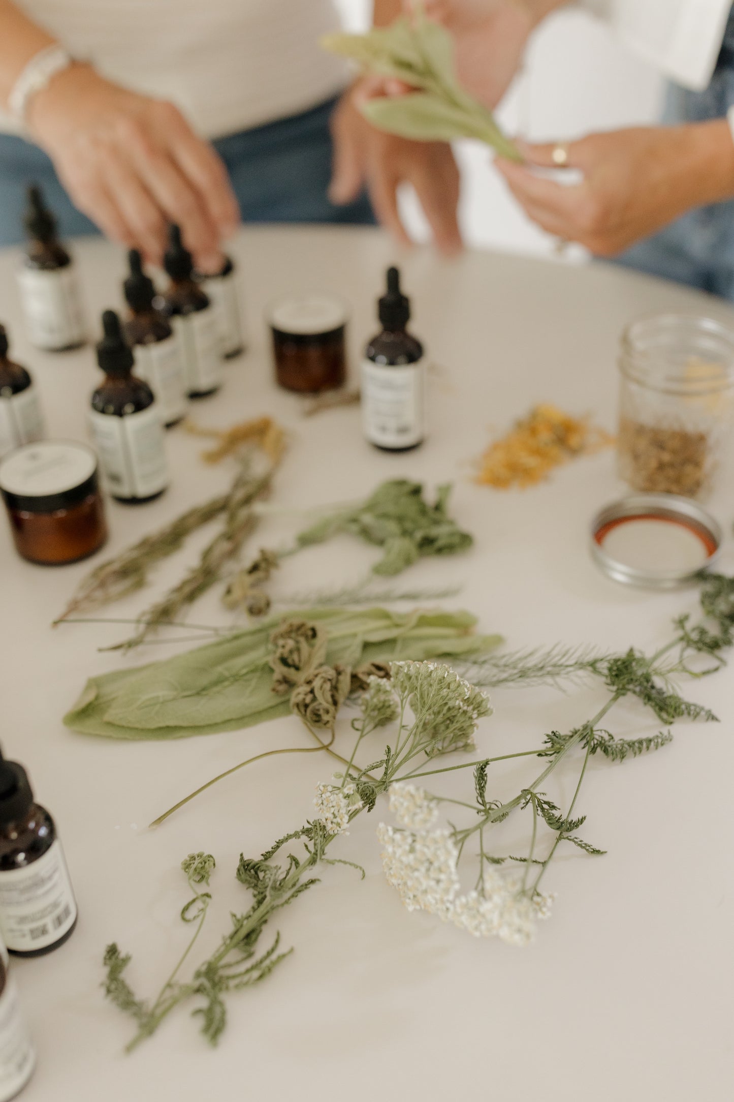 Detox & Balance Bundle - Daily Support for Lymph Flow, Metabolic Balance & Liver Function