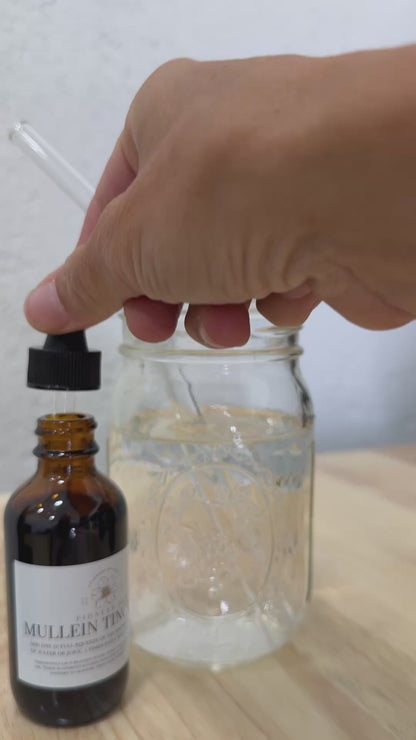 Dynamic Tincture Duo: Immune & Respiratory Support- Elderberry + Mullein Tincture